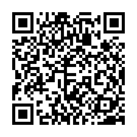 QR code for 859X29