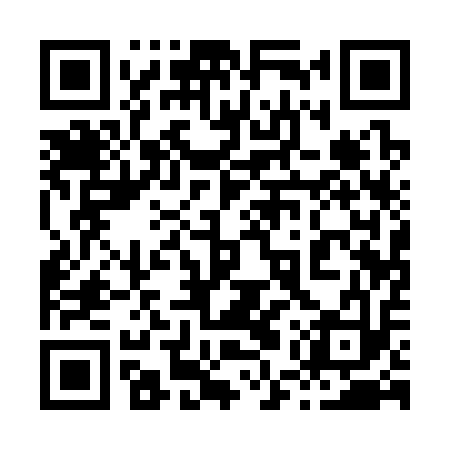 QR code for 85Q313