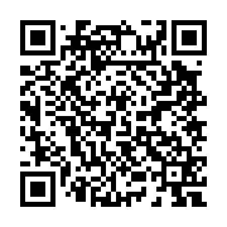 QR code for 85Z061