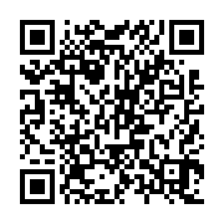 QR code for 85Z603