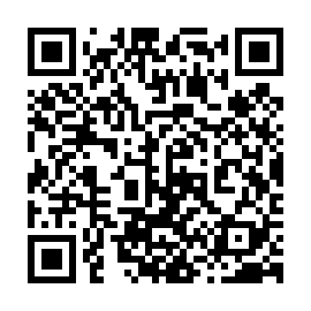 QR code for 863T29