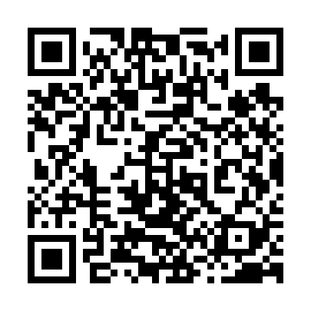 QR code for 867V29