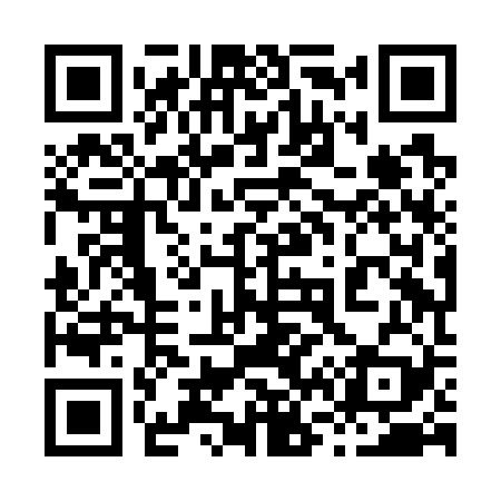 QR code for 868G29