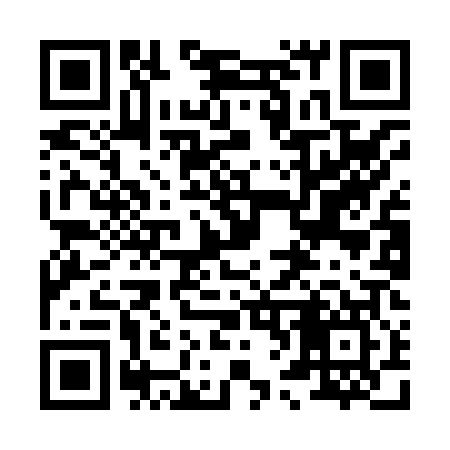 QR code for 869H07