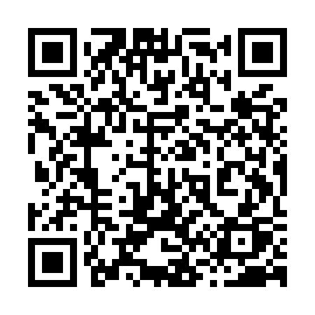 QR code for 869MSP