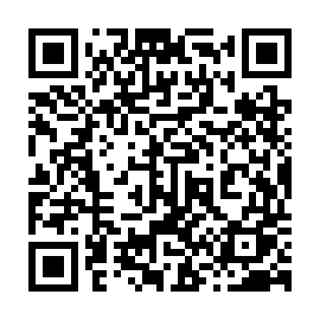 QR code for 869SDQ