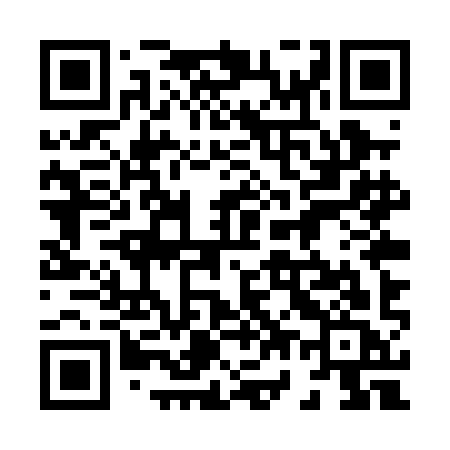 QR code for 875PIC