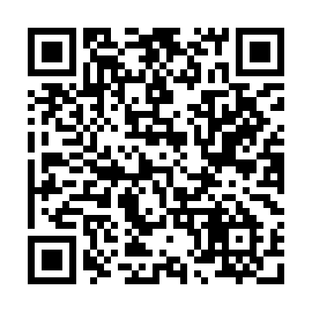 QR code for 888IMM