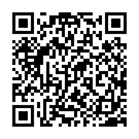 QR code for 89P233