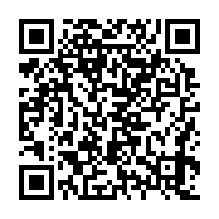 QR code for 89Z379