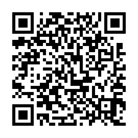 QR code for 905V11