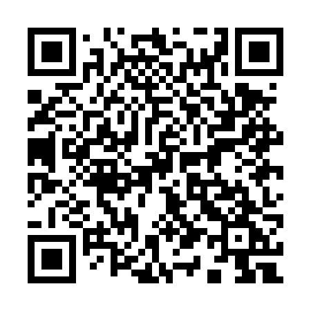 QR code for 911DZG