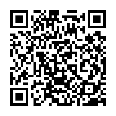QR code for 911G38