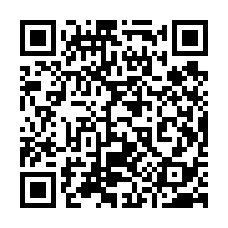QR code for 911V38