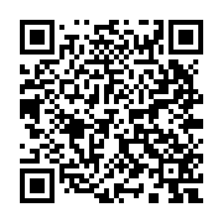 QR code for 911Z53