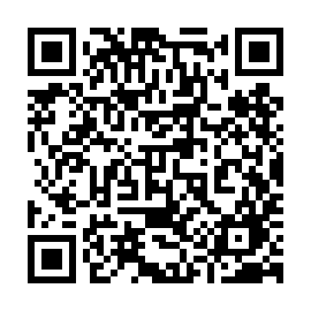 QR code for 913TIG