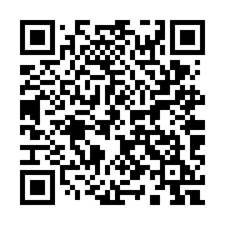 QR code for 916VIE