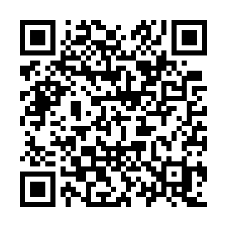 QR code for 916WSI