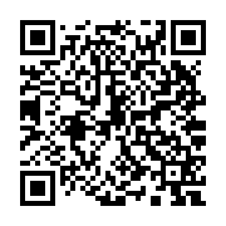 QR code for 916Z61
