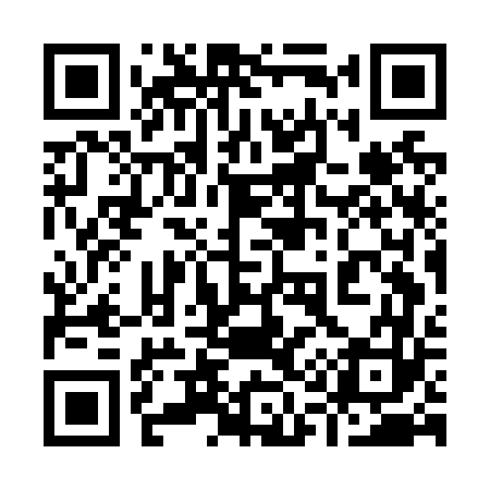 QR code for 917N63