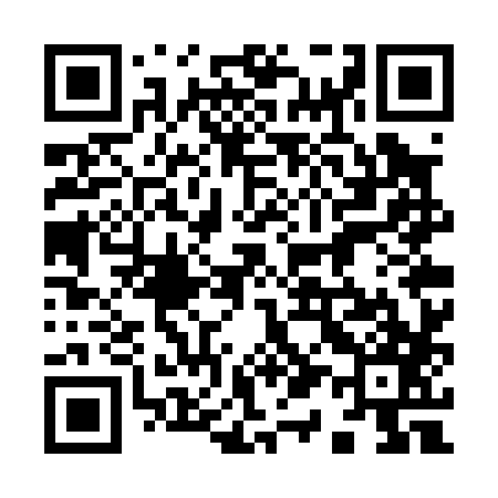 QR code for 917P87