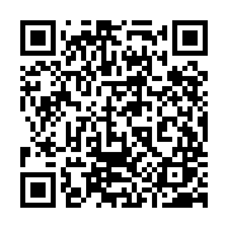 QR code for 919AMS
