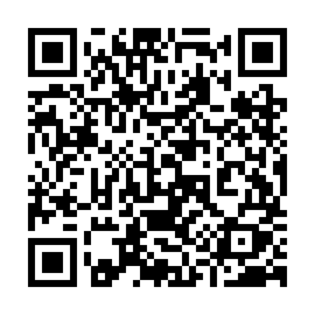 QR code for 919CMY