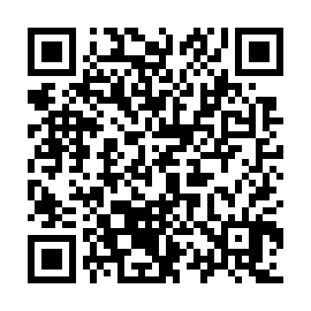 QR code for 919G04