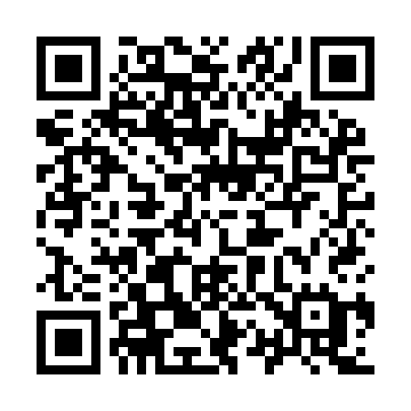 QR code for 919ICE