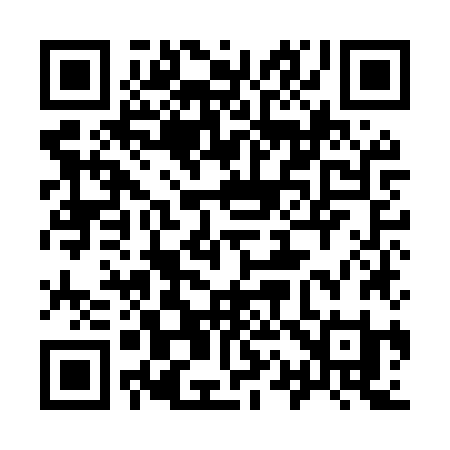 QR code for 919MZI