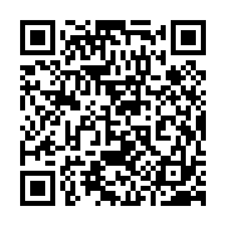 QR code for 919P33