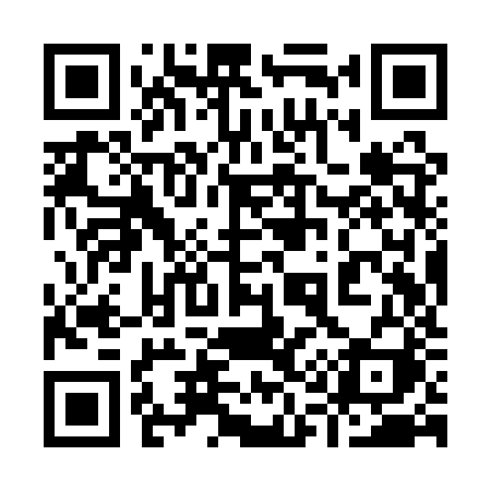QR code for 919QZI