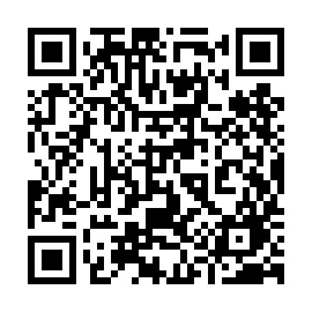 QR code for 919TIG