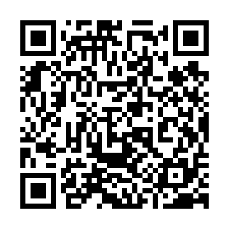 QR code for 919V15
