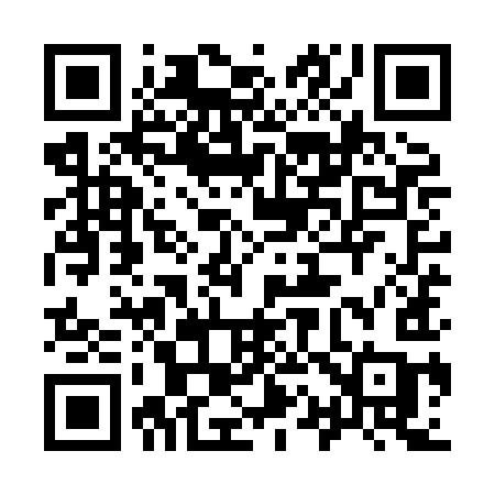 QR code for 919XIC