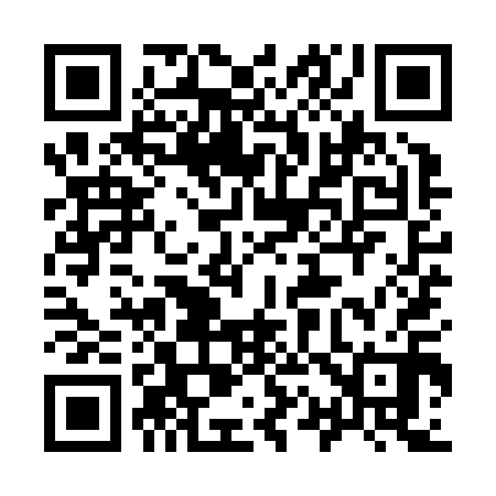 QR code for 919Z10