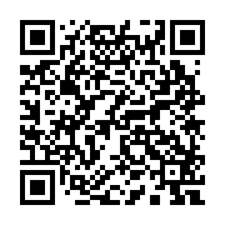 QR code for 91K383
