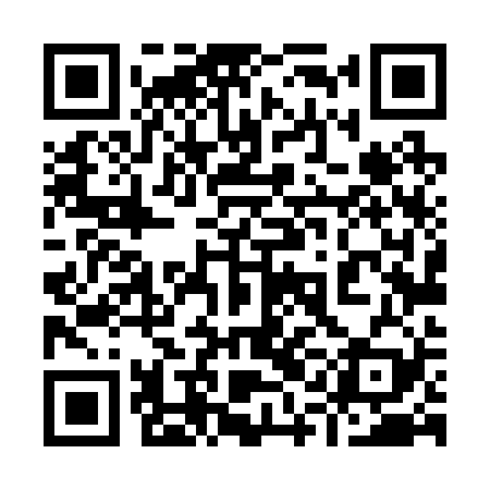 QR code for 91L229