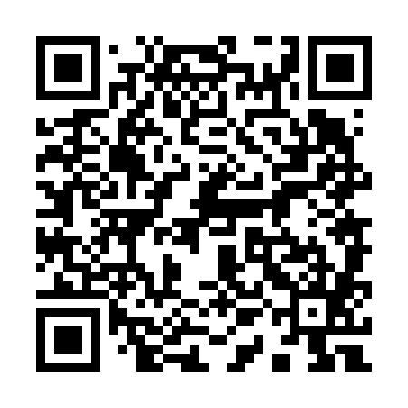 QR code for 91N685