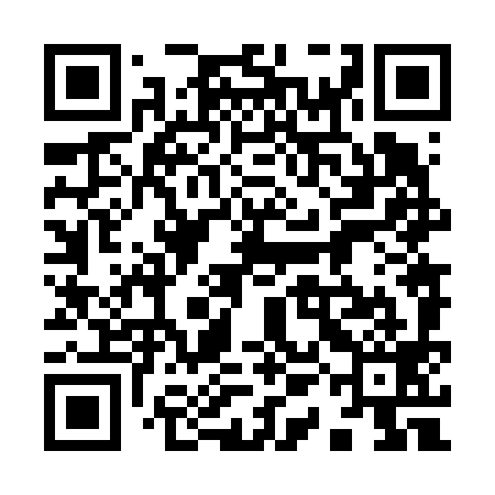 QR code for 91N699