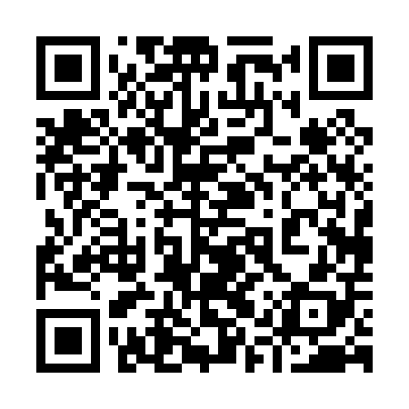 QR code for 91P008