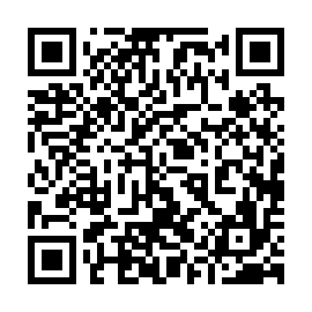 QR code for 91P216