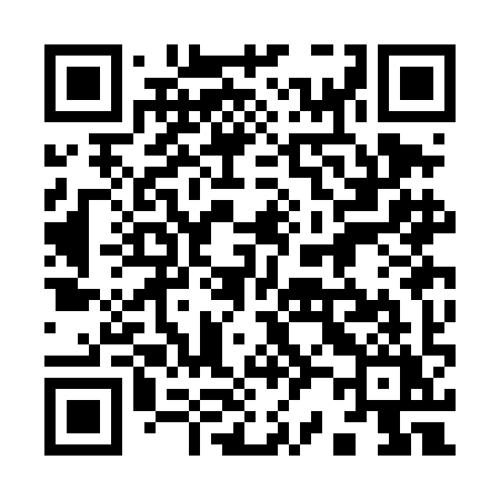 QR code for 923DIY