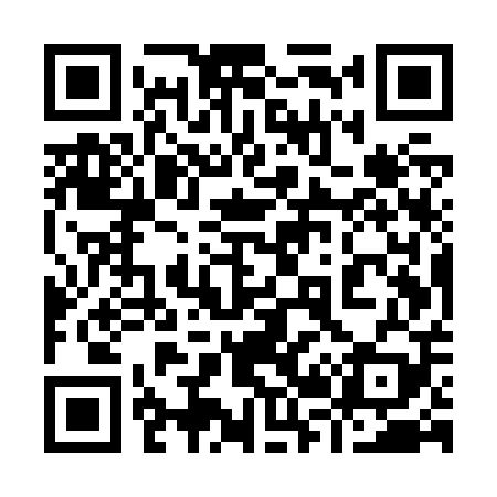 QR code for 925Z09