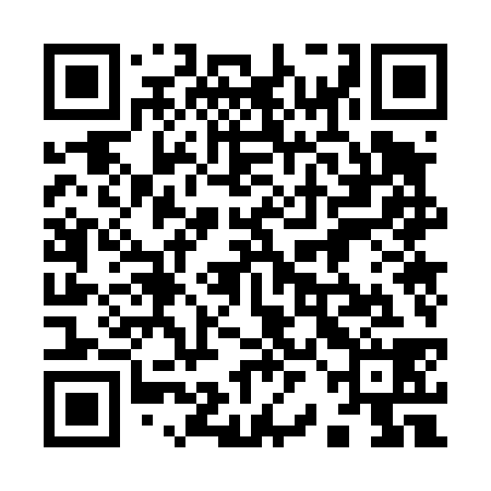 QR code for 92O438