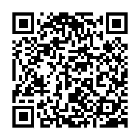 QR code for 93F029