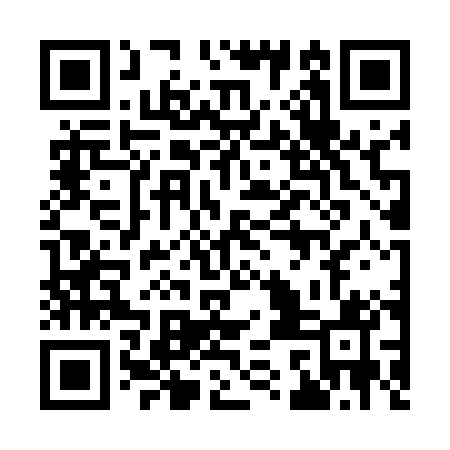 QR code for 93G501