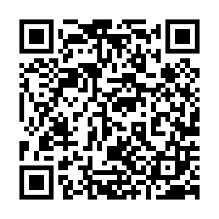 QR code for 93L003