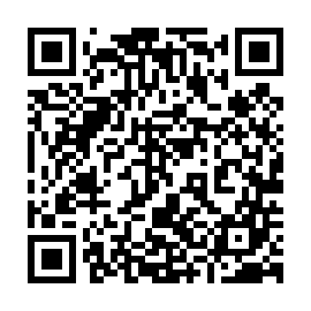 QR code for 93L447