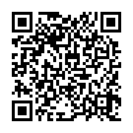 QR code for 94L338